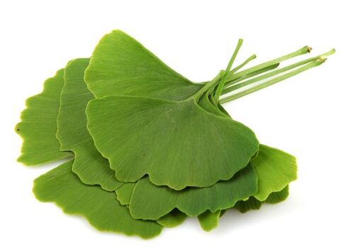 Varikon sadrži Gingko Bilobu